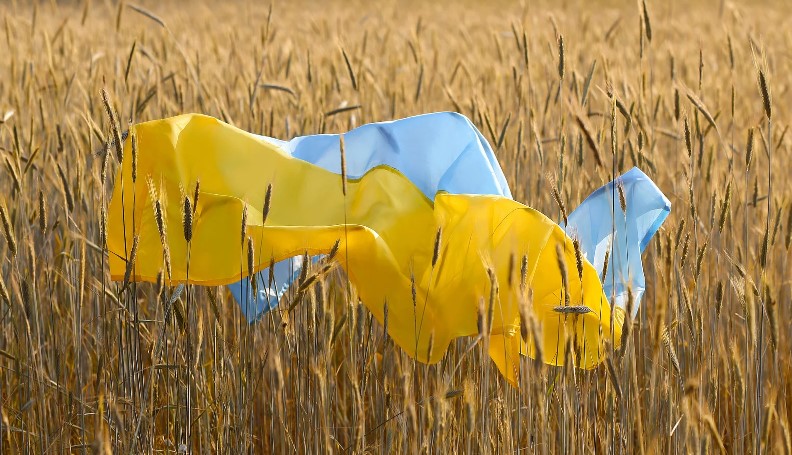 Возвращение на работу после декрета Возвращение на работу после декрета